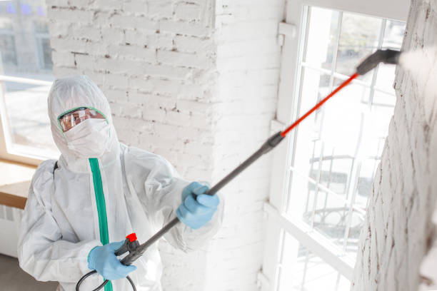 Best Biohazard Mold Removal  in Culloden, WV
