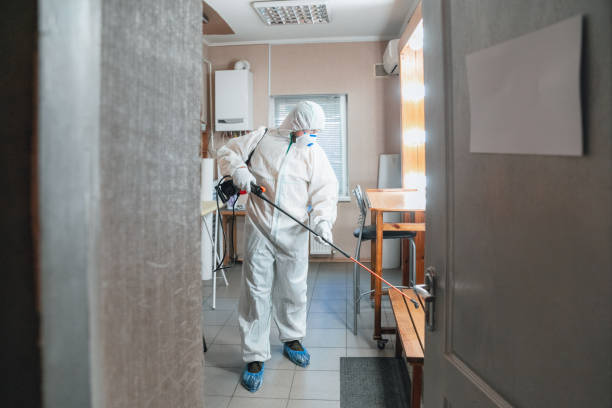 Best Forensic Mold Investigation  in Culloden, WV