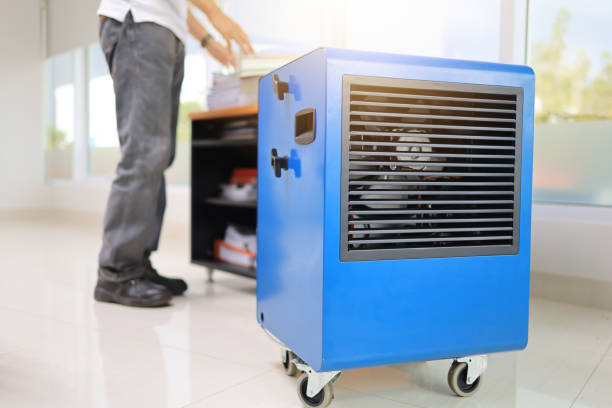 Best Commercial Mold Inspection  in Culloden, WV
