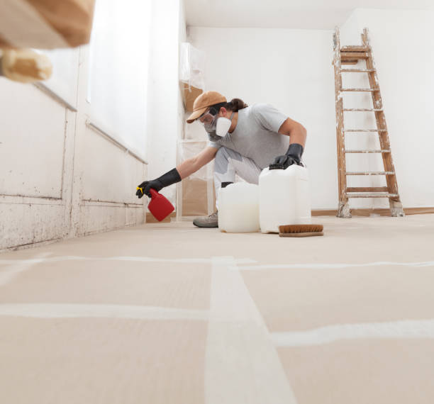 Best Mold Prevention Services  in Culloden, WV