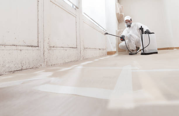 Best Asbestos and Lead Testing During Mold Inspection  in Culloden, WV